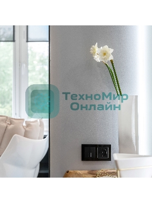 Выключатель двухклавишный с подсветкой WERKEL (черный матовый) W1120108