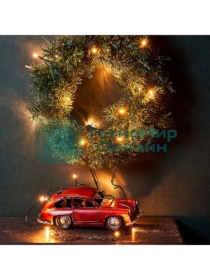 Гирлянда Neon-night 