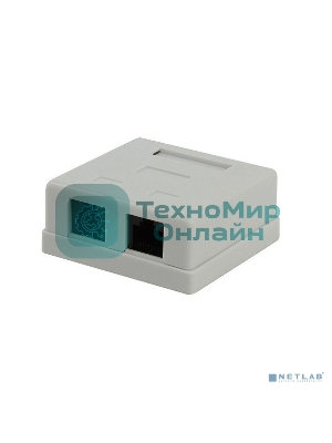 Розетка компьютерная NA-TA/1 RJ45+RJ11 кат.5e UTP внешняя 2 порта, 110&Krone
