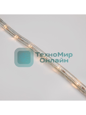 Дюралайт Neon-night LED, свечение с динамикой (3W) - теплый белый, 24 LED/м, бухта 100м