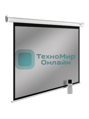 Экран Cactus 150x200 см SIlverMotoExpert CS-PSSME-200X150-WT 4:3 настенно-потолочный рулонный белый (моторизованный привод)