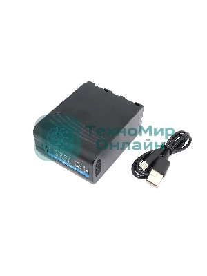 Аккумуляторная батарея для видеокамеры Sony CCD-RV (NP-F970) USB Type-C 7.4V 10500mAh усиленная