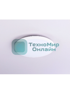 Потолочный светодиодный светильник Ambrella light FZ1230 WH белый IP44 22W 6400К D260*55 (Без ПДУ)