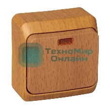 Выключатель 1-кл. ОП Этюд Дача 10А IP20 с индик. бук SchE BA10-005T