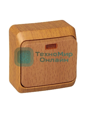 Выключатель 1-кл. ОП Этюд Дача 10А IP20 с индик. бук SchE BA10-005T