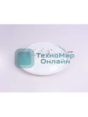 Потолочный светодиодный светильник Ambrella light FZ1230 WH белый IP44 22W 6400К D260*55 (Без ПДУ)