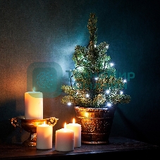 Гирлянда Neon-night 