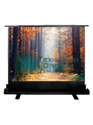 Экран Cactus 135x180 см FloorExpert CS-PSFLE-180X135 4:3 напольный рулонный