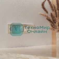 Рамка на 5 постов  AluMax (шампань) W0053511