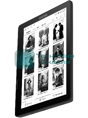 Электронная книга Digma F4 5.83