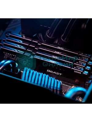 Оперативная память Kingston Fury Beast, DDR5, 32Gb (2x16Gb), 6400MHz, CL32, DIMM, с радиатором, черный