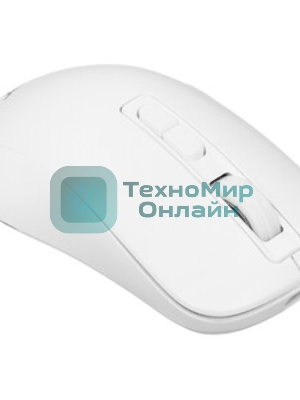Мышь Acer OMR503 светло-серый оптическая 3200dpi silent беспров. BT/Radio USB 4but (ZL.MCE11.01C)