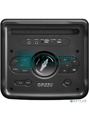 Акустическая система Midi TWS/BT/USB/TF/FM/ДУ GM-205 черный