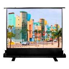 Экран Cactus 120x160 см FloorExpert CS-PSFLE-160X120 4:3 напольный рулонный