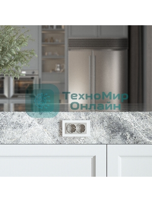 Розетка двойная с заземлением WERKEL (дымчатый) W1272004
