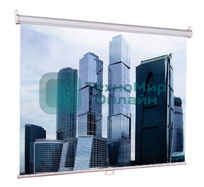 Экраны LUMIEN Eco Picture LEP-100101, 150х150 см, 1:1