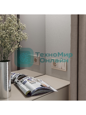 Выключатель двухклавишный WERKEL (шампань рифленый) W1120010