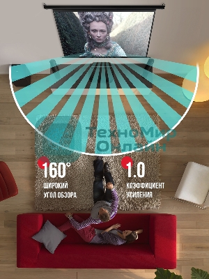 Экран для проектора S'OK Athena SGPSMS-398x224 на тросах с электроприводом, матовый, белый к