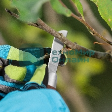 Нож садовый складной Palisad прямое лезвие, 173 мм, деревянная рукоятка