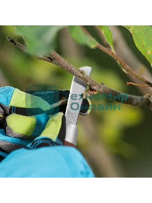 Нож садовый складной Palisad прямое лезвие, 173 мм, деревянная рукоятка