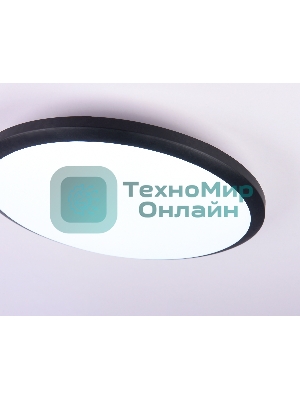 Потолочный светодиодный светильник Ambrella light FZ1233 BK черный IP44 22W 6400К D260*55 (Без ПДУ)