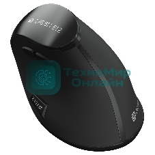 Мышь беспроводная Oklick 990MW черный, 2400 dpi, радиоканал, Bluetooth, USB, кнопки - 9