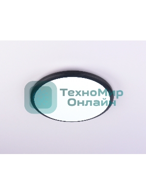 Потолочный светодиодный светильник Ambrella light FZ1233 BK черный IP44 22W 6400К D260*55 (Без ПДУ)