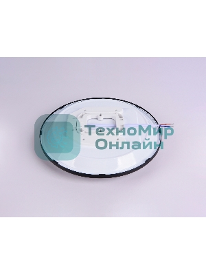 Потолочный светодиодный светильник Ambrella light FZ1233 BK черный IP44 22W 6400К D260*55 (Без ПДУ)