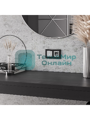 Умный Сенсорный выключатель одноклавишный (серебряный) W4510606