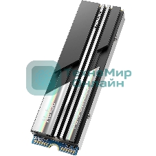 Накопитель SSD Netac NV5000, 1Tb, M.2 2280, PCIe 4.0 x4, NVMe, R/W 5000/4400, с радиатором