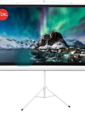 Экран 221x124.5см TriScreen 16:9 напольный рулонный белый100' Matt White (MW), серый корпус