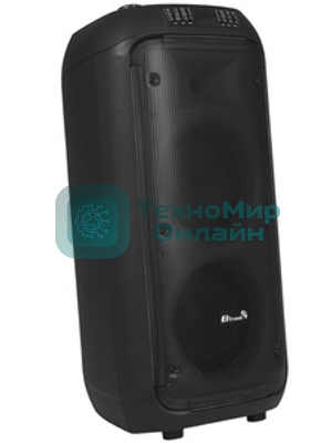 Колонка Eltronic 08