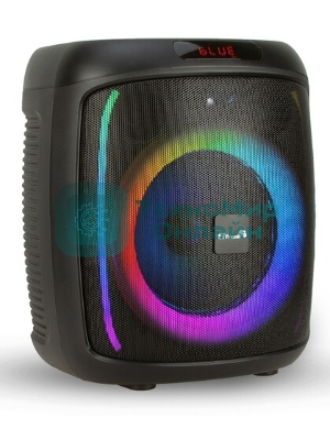 Колонка Eltronic 10