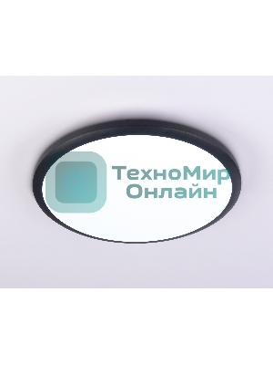 Потолочный светодиодный светильник Ambrella light FZ1234 BK черный IP44 42W 6400К D370*55 (Без ПДУ)