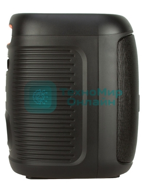 Колонка Eltronic 10