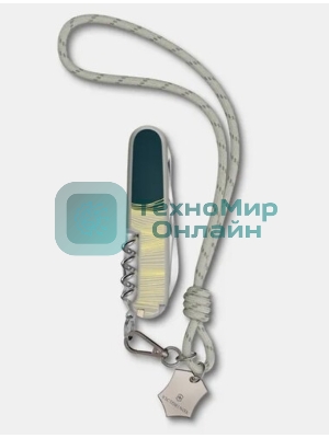 Нож перочинный Victorinox Companion New York Style (1.3909.E223) 91мм 16функц. зеленый с чехлом подар.коробка