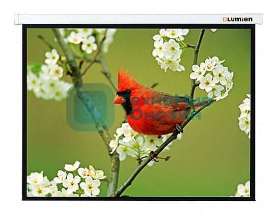 Экран Lumien 305x305 см Master Picture LMP-100107 1:1 настенно-потолочный рулонный