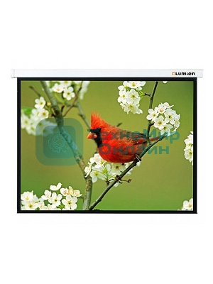 Экран Lumien 305x305 см Master Picture LMP-100107 1:1 настенно-потолочный рулонный