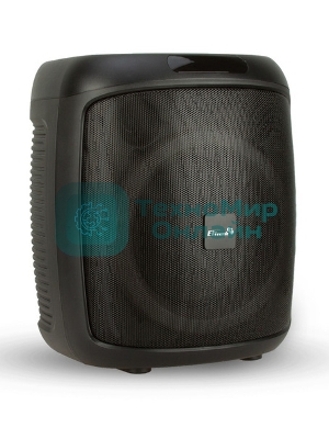 Колонка Eltronic 10