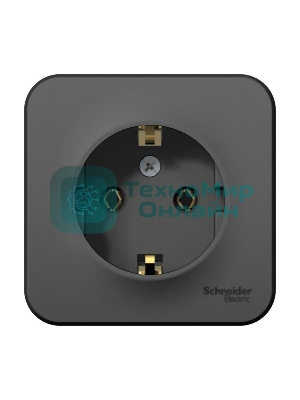 Розетка ОП Blanca 16А 250В без шторок c заземл. изол. пласт. антрацит SchE BLNRA010116