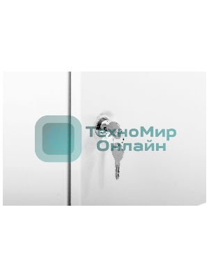 Шкаф телеком. настенный разборный 18U (600х650) дверь металл (ШРН-Э-18.650.1) (1 коробка)