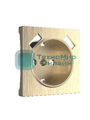 Накладка для розетки USB (шампань рифленый)