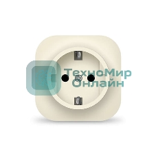 Розетка 1-м ОП 16А IP20 с заземл. сл. кость IONICH 1433