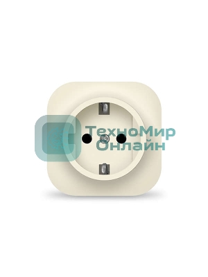 Розетка 1-м ОП 16А IP20 с заземл. сл. кость IONICH 1433