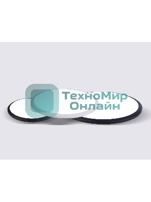 Потолочный светодиодный светильник Ambrella light FZ1235 BK черный IP44 48W 6400К D450*55 (Без ПДУ)