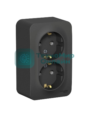 Розетка 2-м ОП Blanca 16А 250 В без шторок c заземл. изол. пласт. антрацит SchE BLNRA010216