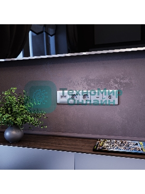 Розетка HDMI (серебряный)