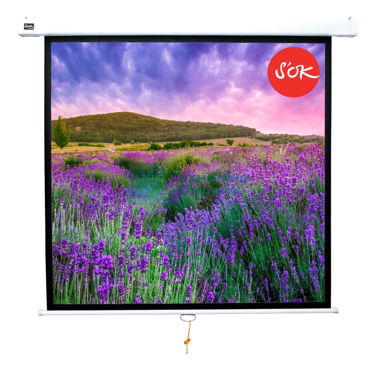 Экран 180x180см Wallscreen 1:1 настенно-потолочный рулонный белый100'