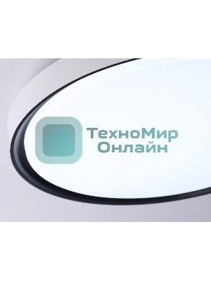 Потолочный светодиодный светильник Ambrella light FZ1247 WH/BK белый/черный IP54 20W 5000K D300*60 (Без ПДУ)