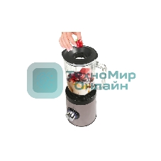 Блендер Zigmund & Shtain BS-441 D